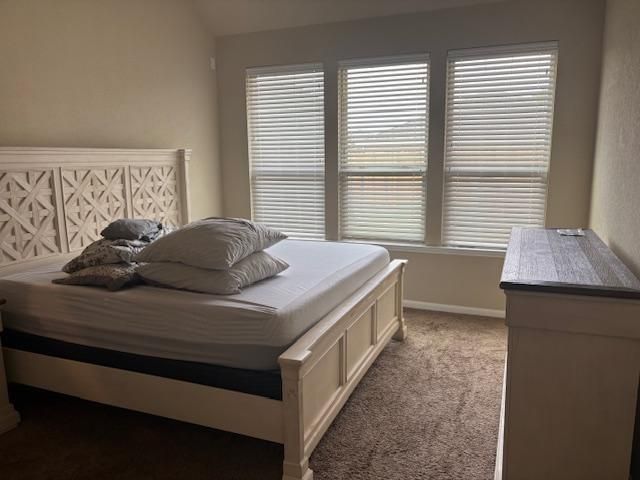 410 N Iris Rose Ct, Richmond, TX 77469