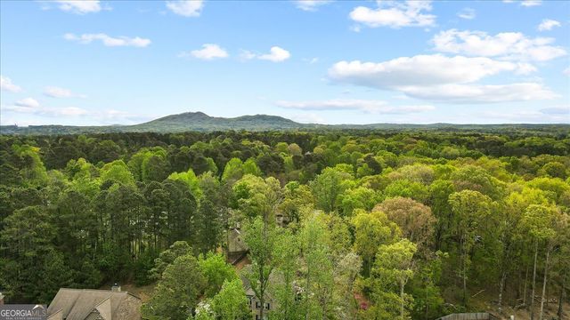 1365 Willis Lake Drive, Kennesaw, GA 30152