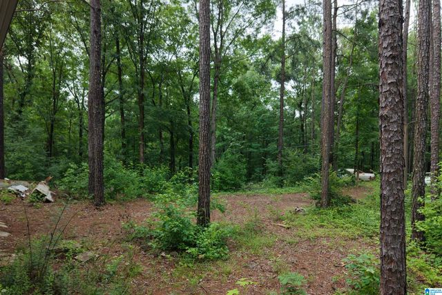 980 HIGHWAY 331, Columbiana, AL 35051