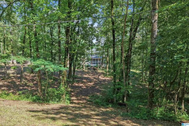980 HIGHWAY 331, Columbiana, AL 35051