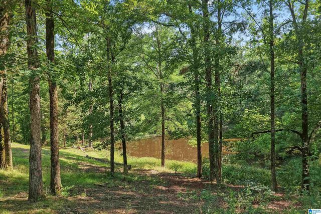 980 HIGHWAY 331, Columbiana, AL 35051