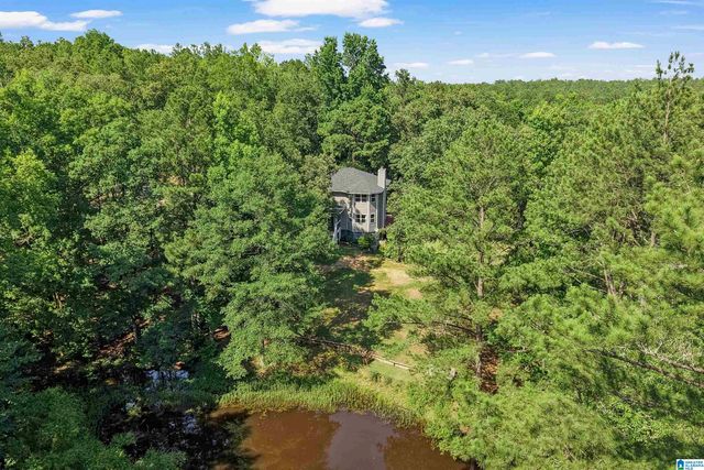 980 HIGHWAY 331, Columbiana, AL 35051