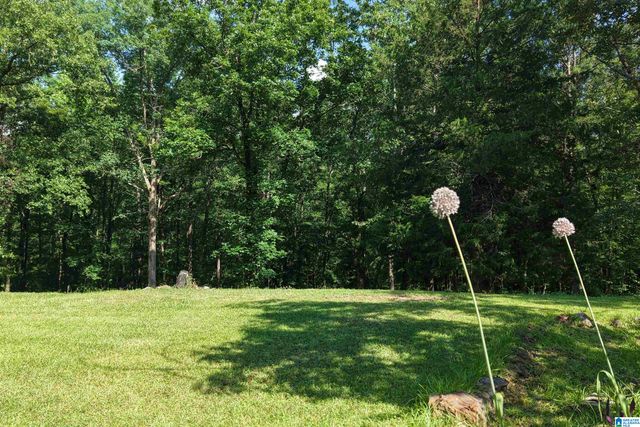 980 HIGHWAY 331, Columbiana, AL 35051