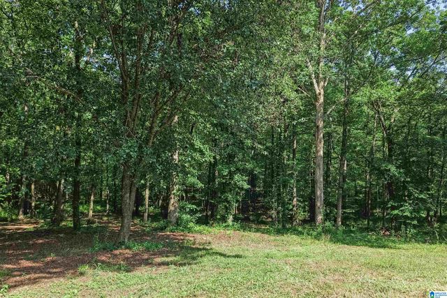 980 HIGHWAY 331, Columbiana, AL 35051