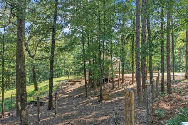 980 HIGHWAY 331, Columbiana, AL 35051