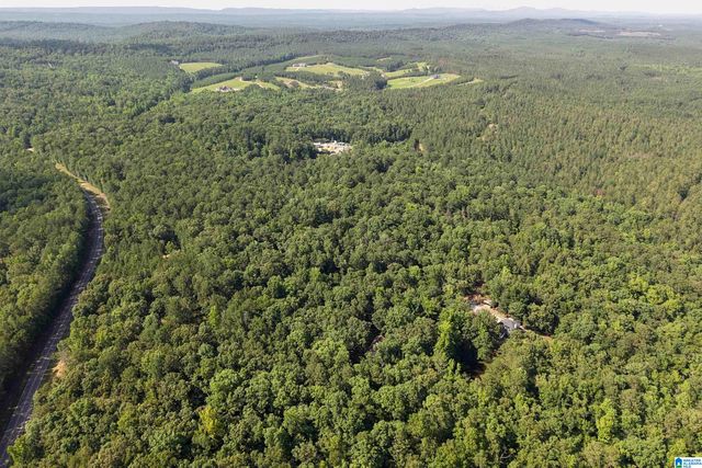 980 HIGHWAY 331, Columbiana, AL 35051