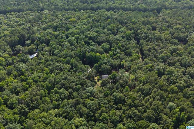 980 HIGHWAY 331, Columbiana, AL 35051