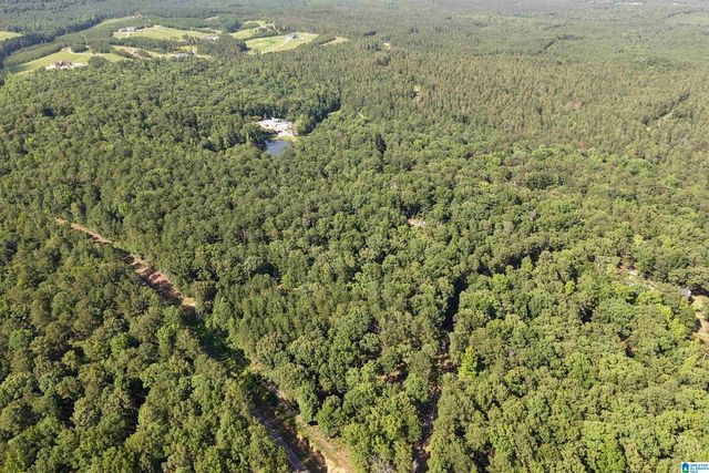 980 HIGHWAY 331, Columbiana, AL 35051