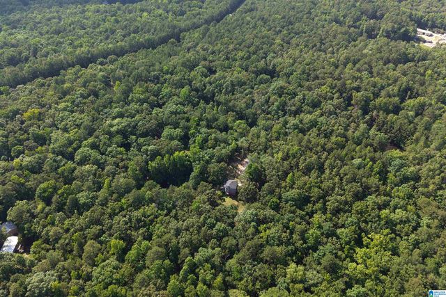 980 HIGHWAY 331, Columbiana, AL 35051