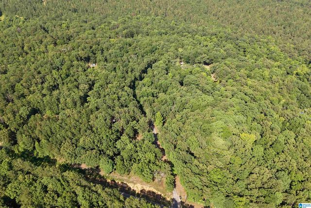 980 HIGHWAY 331, Columbiana, AL 35051