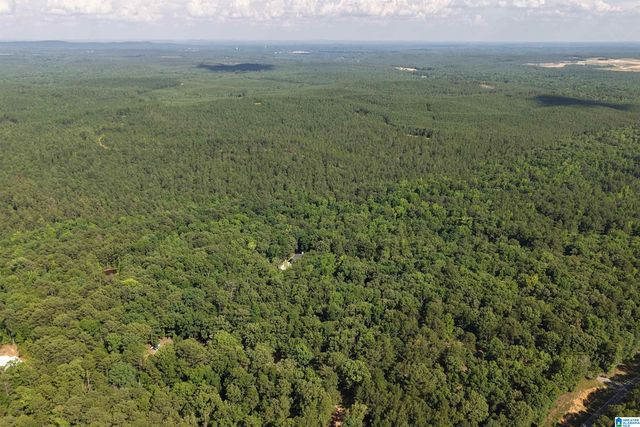 980 HIGHWAY 331, Columbiana, AL 35051