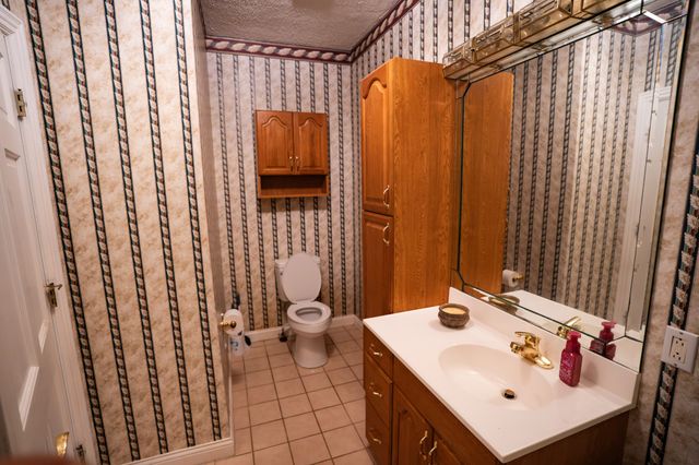 175 Sandy Cir, Springville, TN 38256