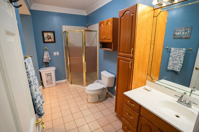 175 Sandy Cir, Springville, TN 38256