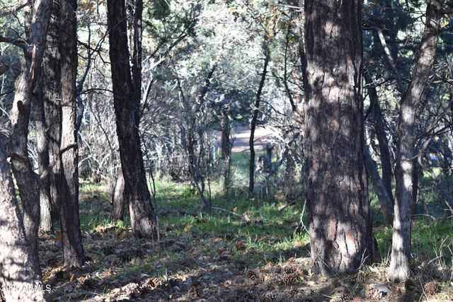 3829 N PINE Road N, Pine, AZ 85544