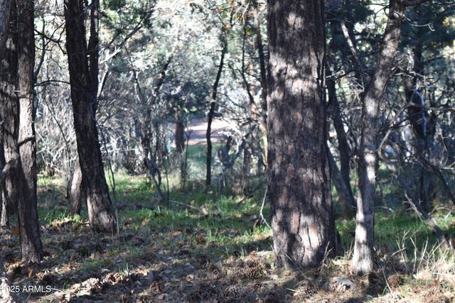 3829 N PINE Road N, Pine, AZ 85544