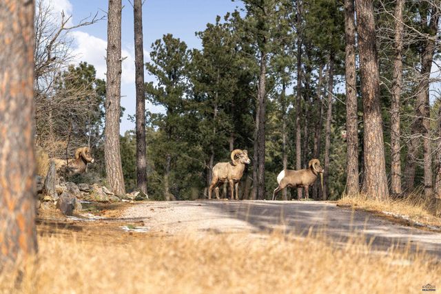 13646 TWISTED PINES TRL, Rapid City, SD 57702