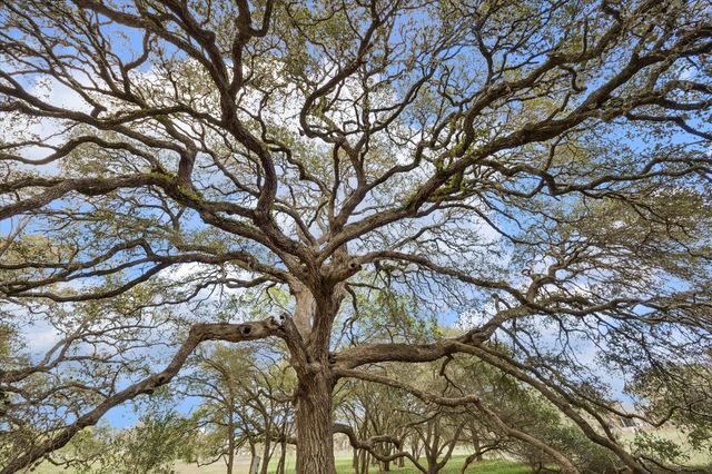 207 Bauer Rummel Road, Round Top, TX 78954