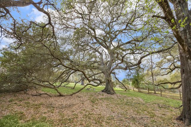 207 Bauer Rummel Road, Round Top, TX 78954