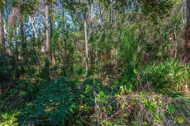 9739 FREDERICKSBURG ROAD, Tampa, FL 33635