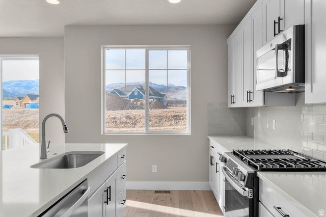 13022 S BROAD STEM CIR, Herriman, UT 84096