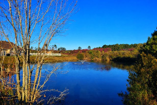 407 Big Woods Ct., Myrtle Beach, SC 29588