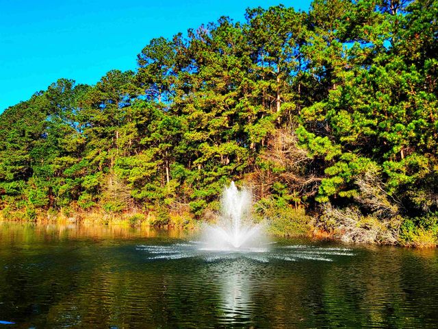 407 Big Woods Ct., Myrtle Beach, SC 29588