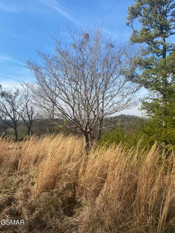71 Goose Gap, Sevierville, TN 37876