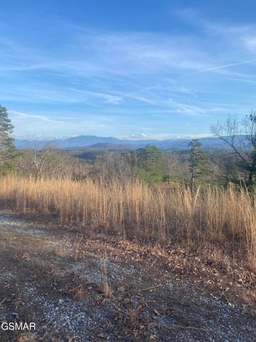 71 Goose Gap, Sevierville, TN 37876