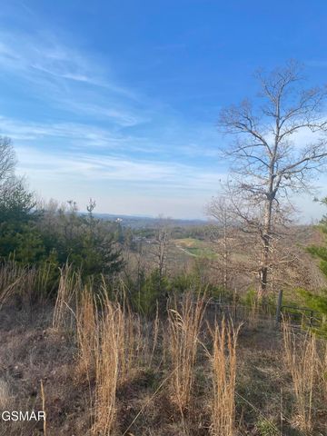 71 Goose Gap, Sevierville, TN 37876