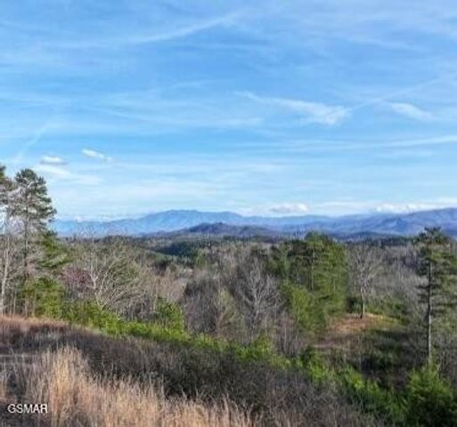 71 Goose Gap, Sevierville, TN 37876