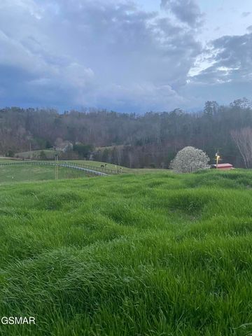 71 Goose Gap, Sevierville, TN 37876