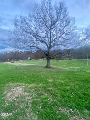 71 Goose Gap, Sevierville, TN 37876
