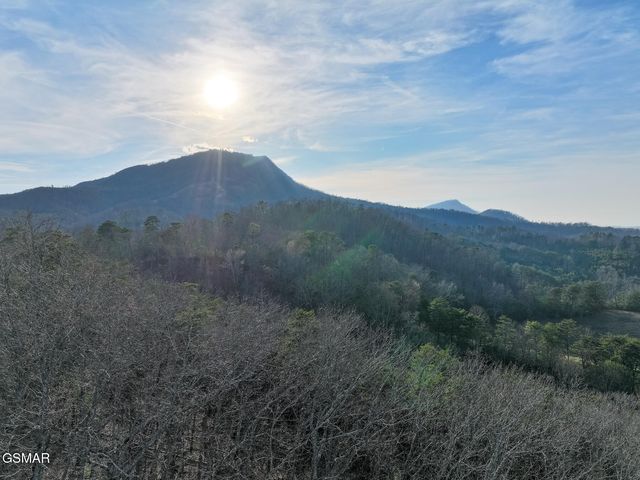71 Goose Gap, Sevierville, TN 37876