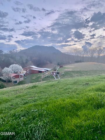 71 Goose Gap, Sevierville, TN 37876