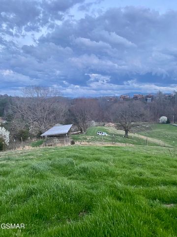 71 Goose Gap, Sevierville, TN 37876