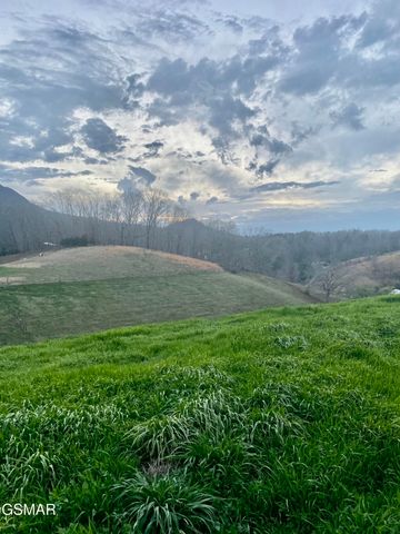 71 Goose Gap, Sevierville, TN 37876