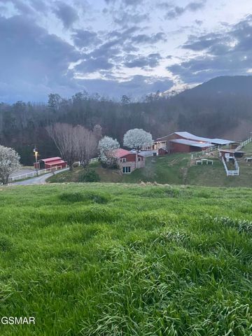 71 Goose Gap, Sevierville, TN 37876