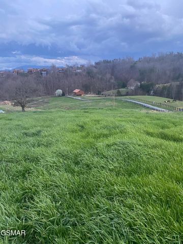71 Goose Gap, Sevierville, TN 37876