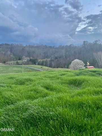 71 Goose Gap, Sevierville, TN 37876