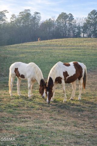 71 Goose Gap, Sevierville, TN 37876