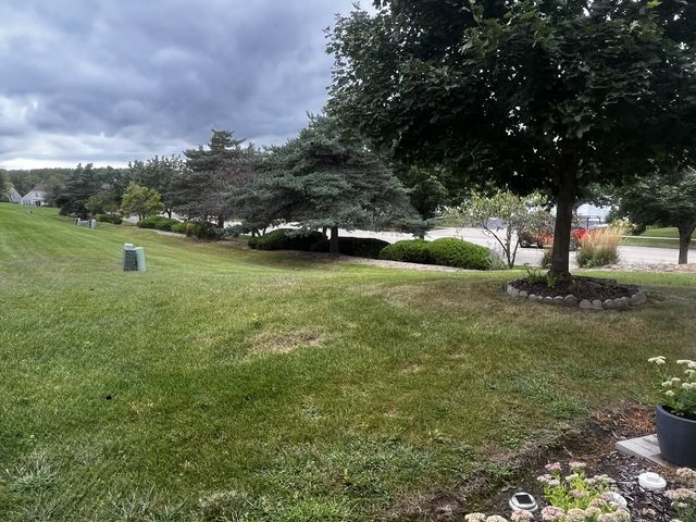 2117 Orchard Lane 2117, Carpentersville, IL 60110