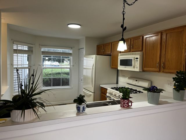 2117 Orchard Lane 2117, Carpentersville, IL 60110