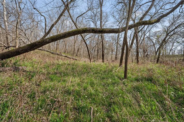 Tract 4 Cr 117, Hungerford, TX 77448