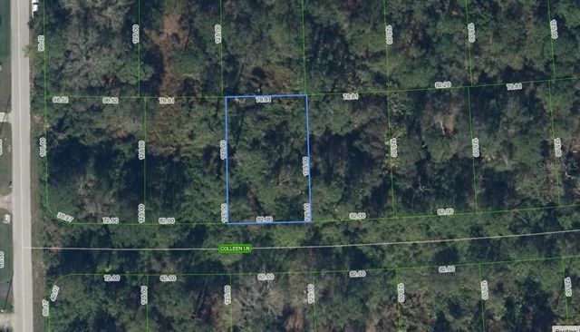 208 COLEEN LANE, Lake Placid, FL 33852