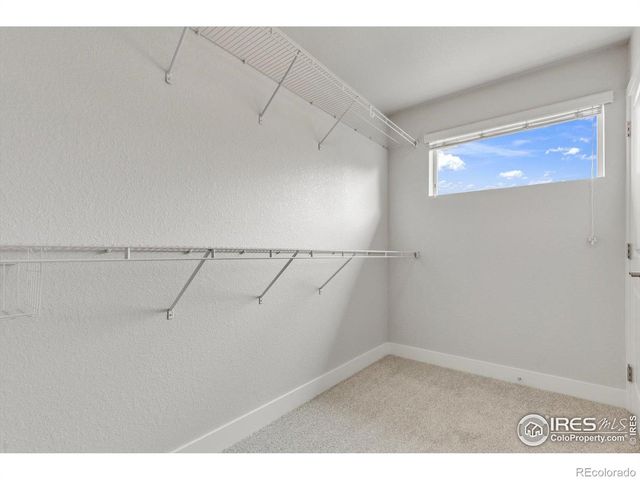 709 Robert Street, Longmont, CO 80503