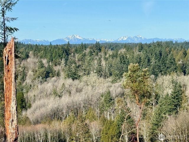 4319 183rd Avenue Ct SW, Longbranch, WA 98351