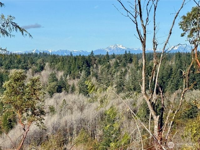 4319 183rd Avenue Ct SW, Longbranch, WA 98351