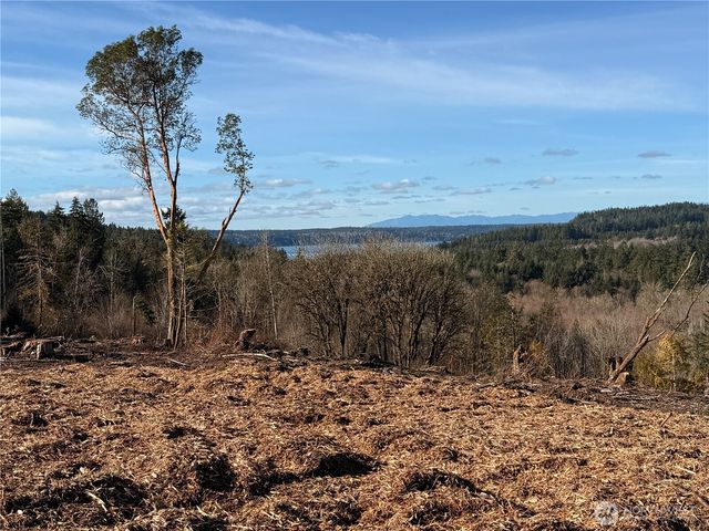 4319 183rd Avenue Ct SW, Longbranch, WA 98351