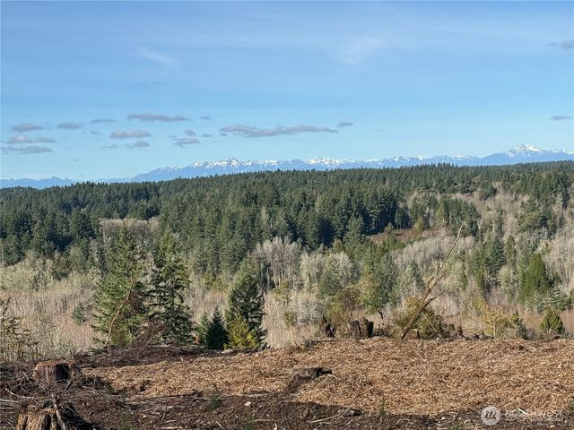 4319 183rd Avenue Ct SW, Longbranch, WA 98351