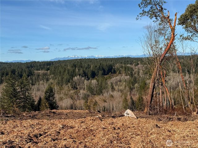 4319 183rd Avenue Ct SW, Longbranch, WA 98351